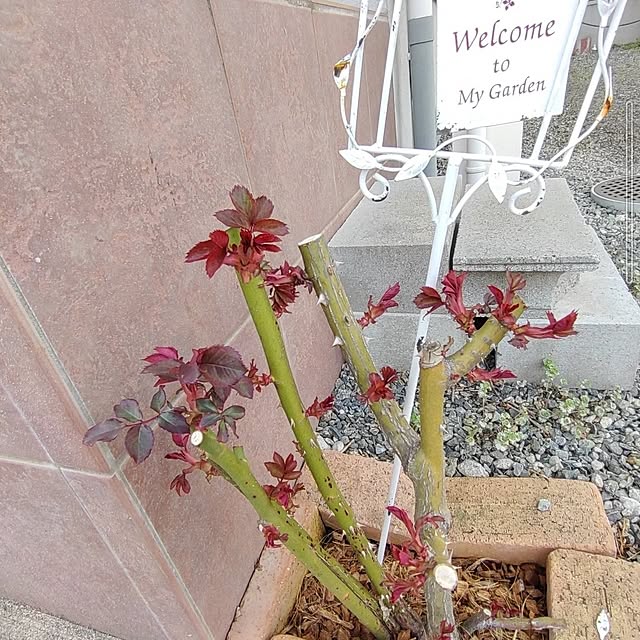 Bienvenueさんの部屋