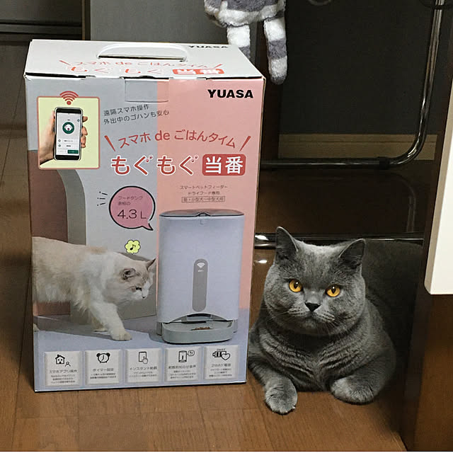 kittyさんの実例写真