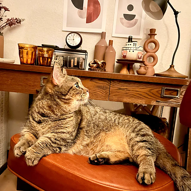 kajikissaさんの実例写真