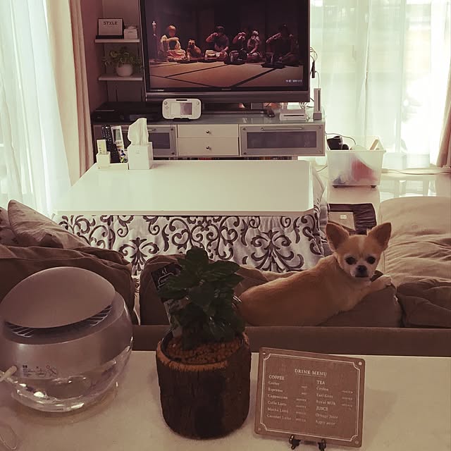 momomama0623さんの実例写真