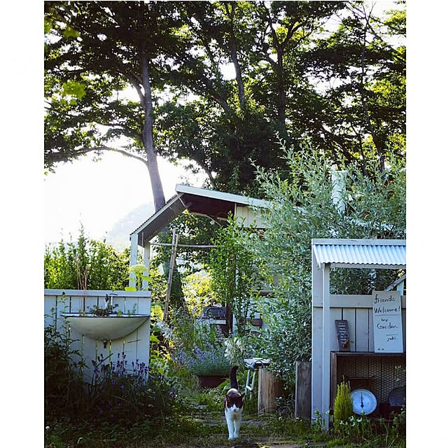 yukiさんの実例写真