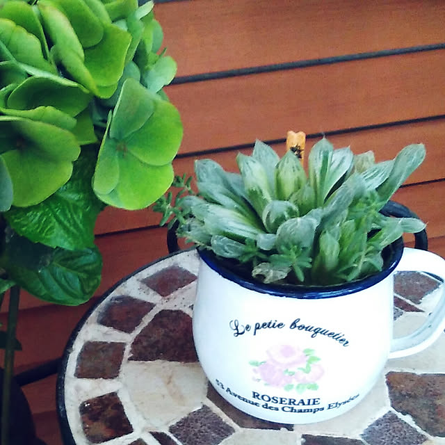 棚/10000人の暮らし/花のある暮らし/観葉植物のある暮らし/多肉植物...などのインテリア実例 - 2018-08-08 22:01:15