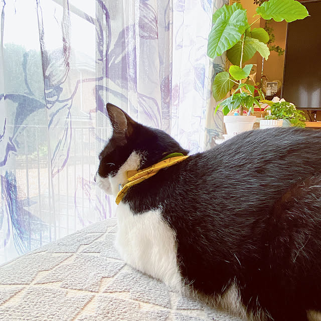 moolさんの部屋