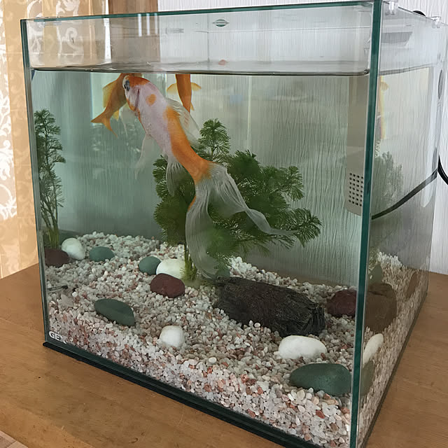 okadajapanさんの実例写真