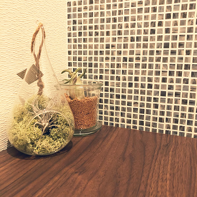 バス/トイレ/観葉植物/雑貨のインテリア実例 - 2018-04-15 21:49:36