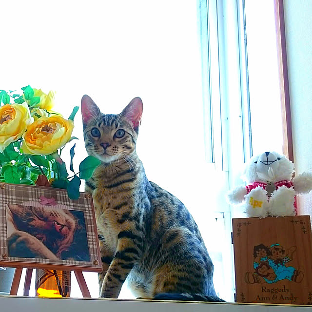 ken.kawakamiさんの実例写真