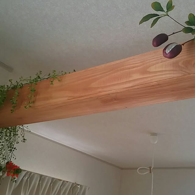 star_chocolateさんの実例写真