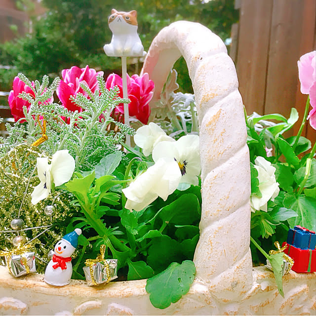 mintcatさんの実例写真