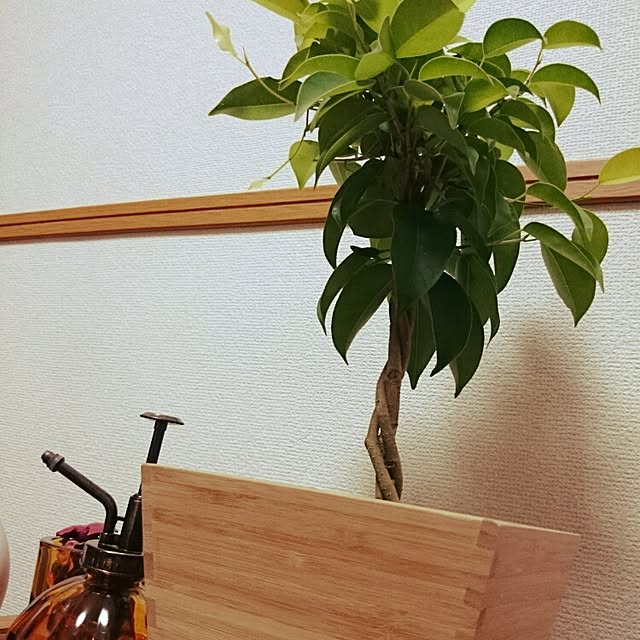 akさんの実例写真