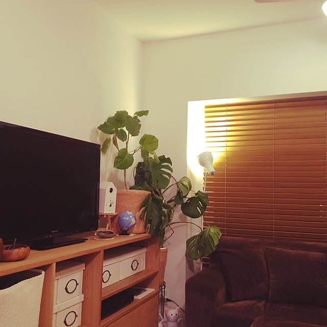 toguayaさんの実例写真