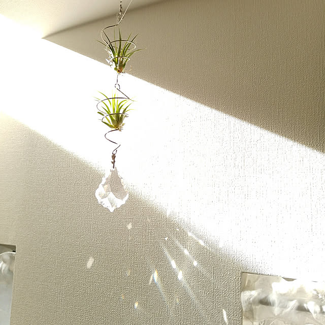 aquaさんの実例写真