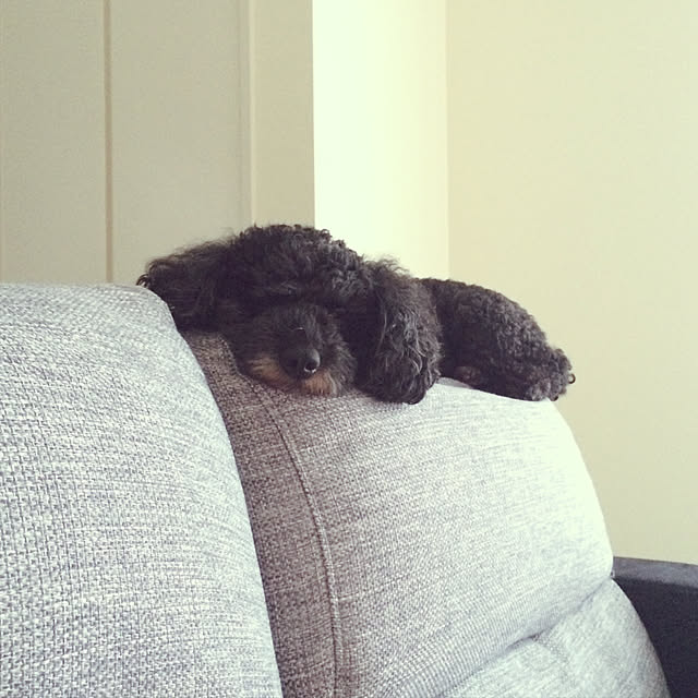Mamiyさんの実例写真