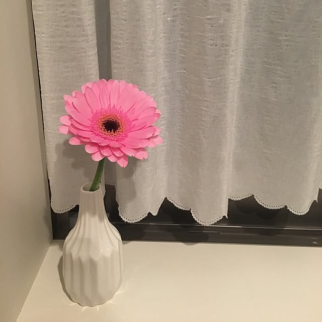 kikujiroさんの実例写真