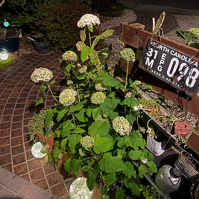 highig16さんの実例写真