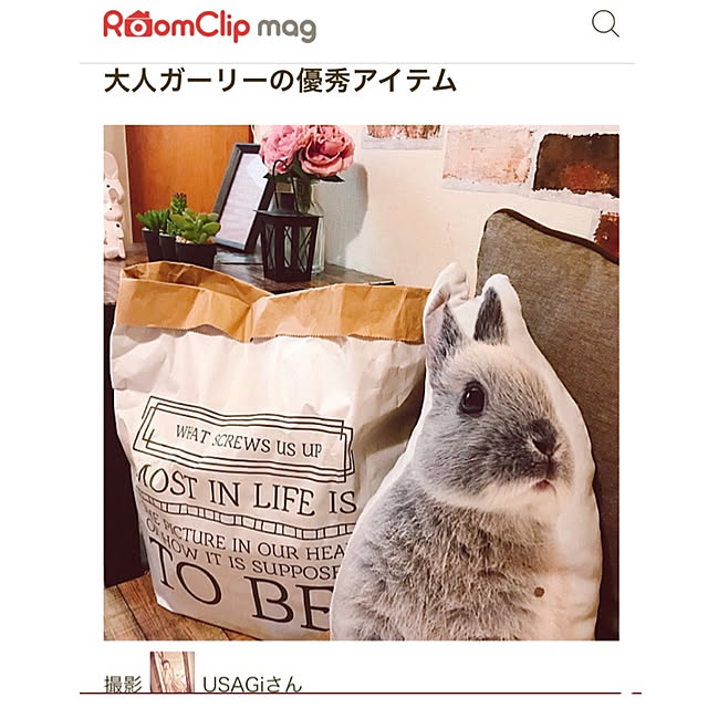 USAGiNさんの実例写真