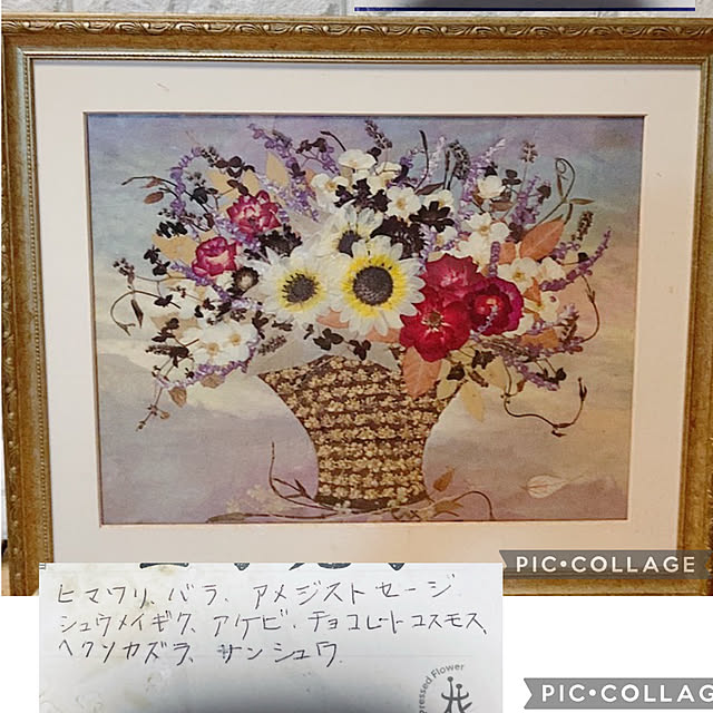 shoさんの実例写真