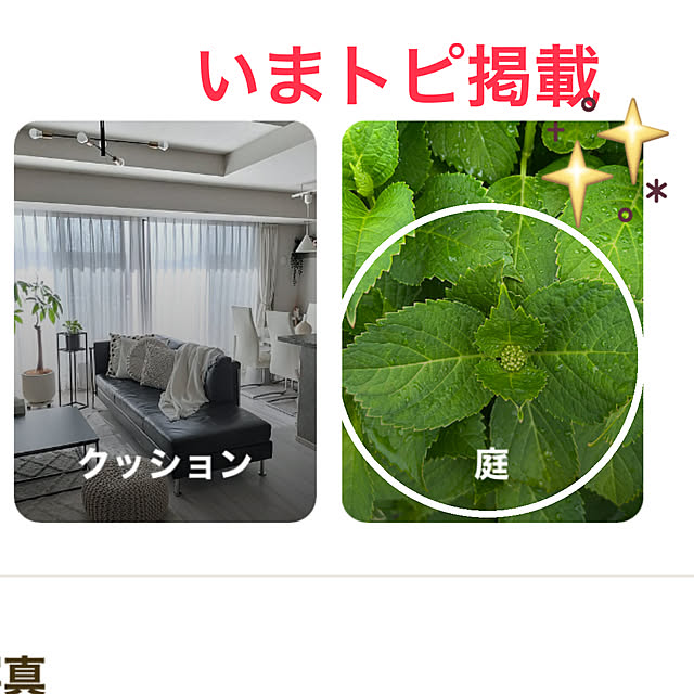 ritsukoさんの実例写真
