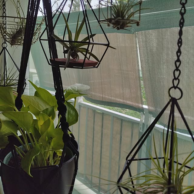 runaさんの部屋