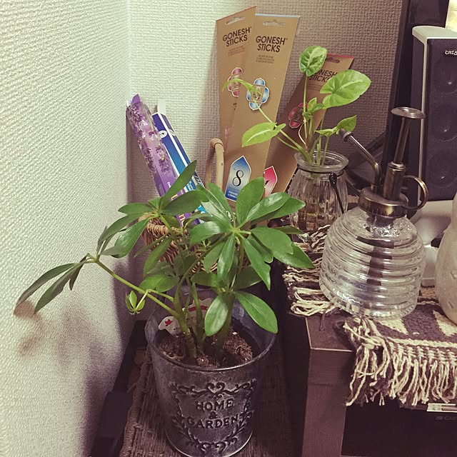 Haruruponさんの実例写真
