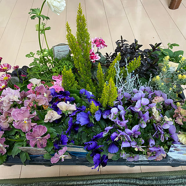 sattoさんの部屋