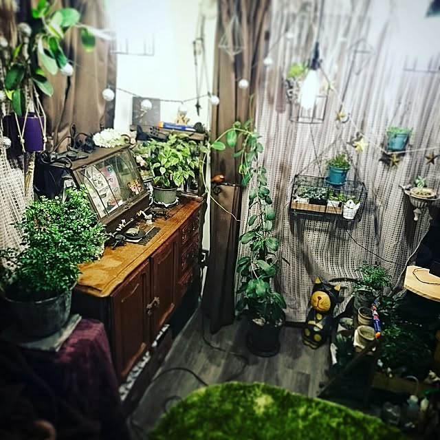 Kazukiさんの実例写真
