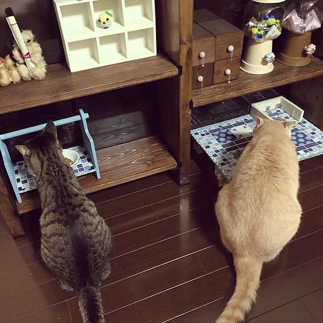 Fumiさんの実例写真