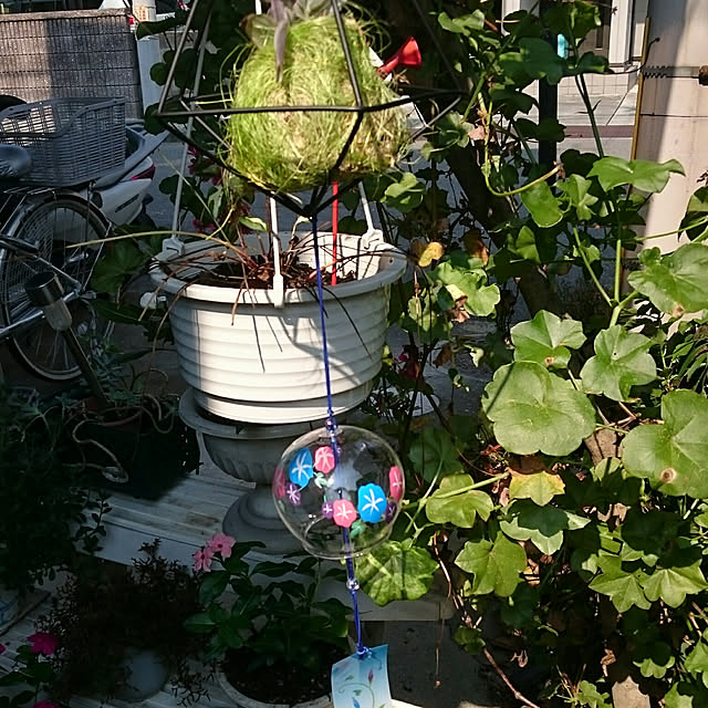 mmmさんの実例写真