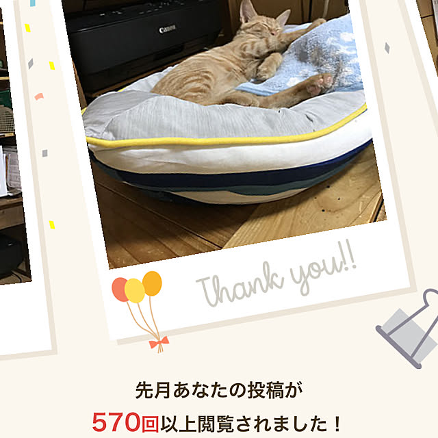 misamisa1113さんの実例写真