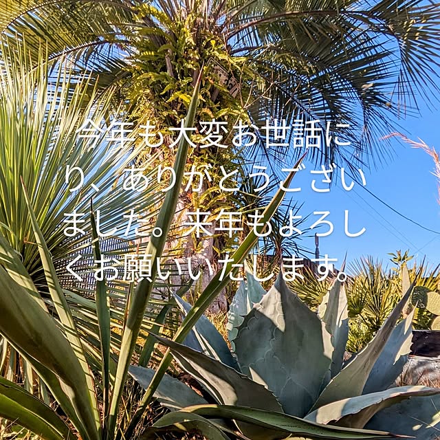 ot-gardenさんの実例写真