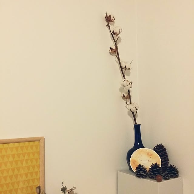 m-kinocoさんの実例写真