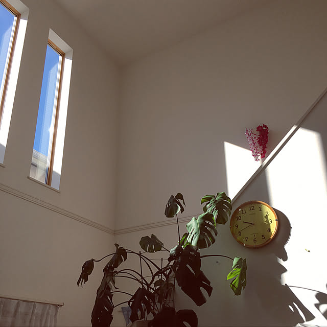 Hirokoさんの実例写真