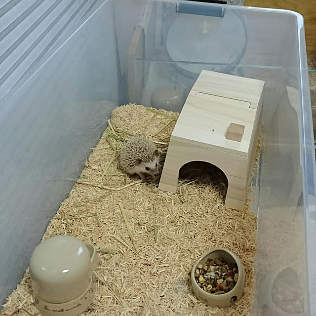 Reikomさんの実例写真