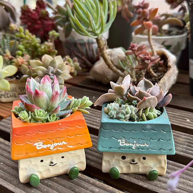 Aqettyさんの部屋