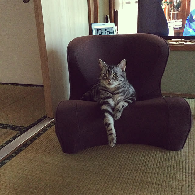 richanさんの実例写真