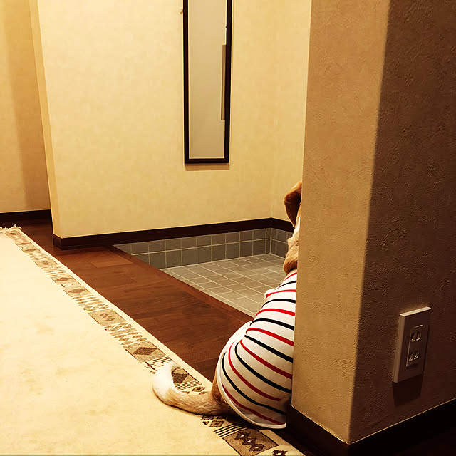chouchouさんの実例写真
