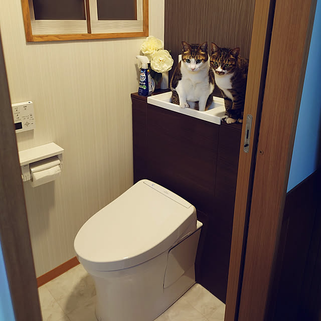 nachiさんの実例写真