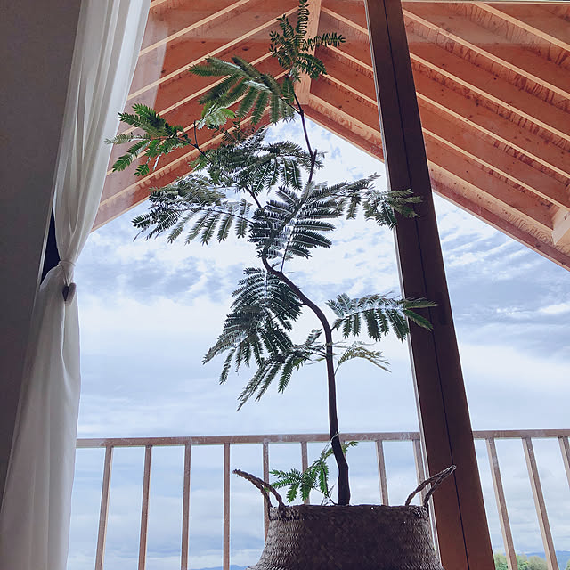 coco518さんの実例写真