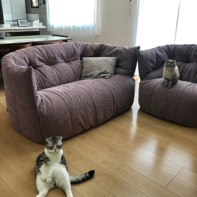 Dahliaさんの実例写真