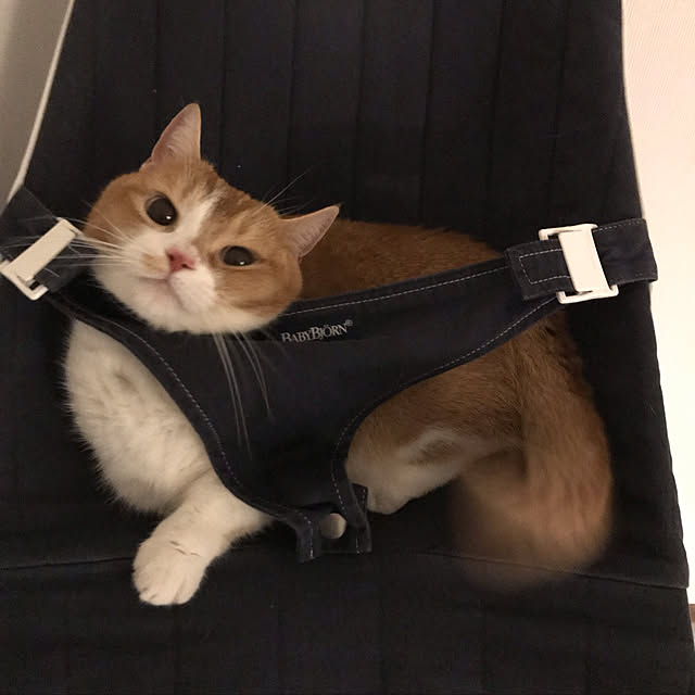 KotarouKunさんの実例写真