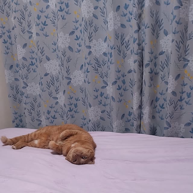 NOAHさんの部屋