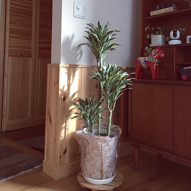 tomoさんの実例写真