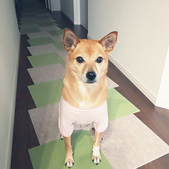 Naomiさんの実例写真