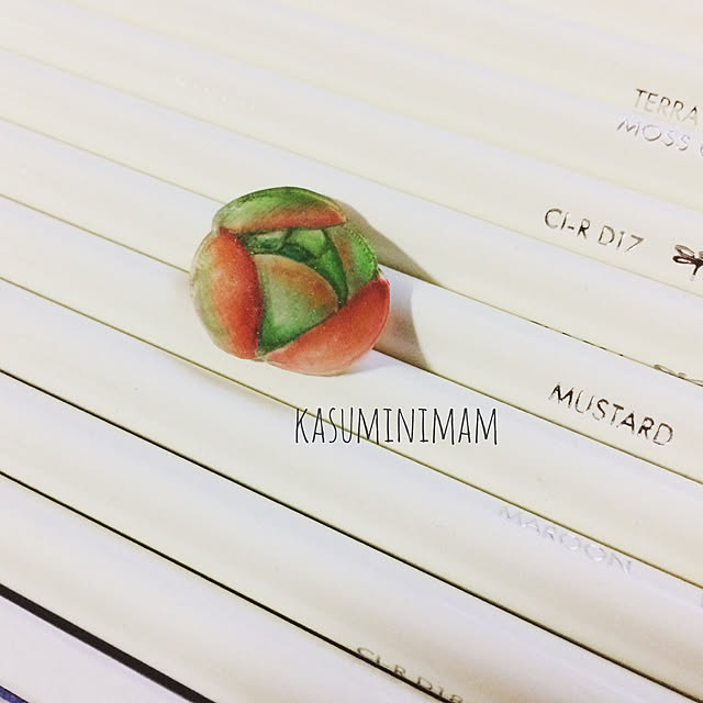 kasuminimamさんの実例写真