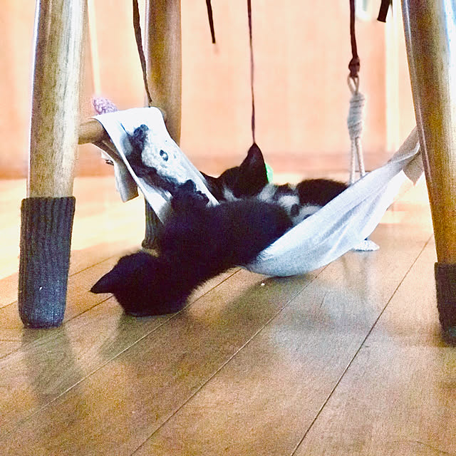 maroさんの実例写真