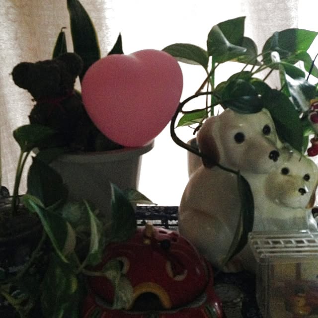 棚/植物のインテリア実例 - 2013-06-10 05:25:41