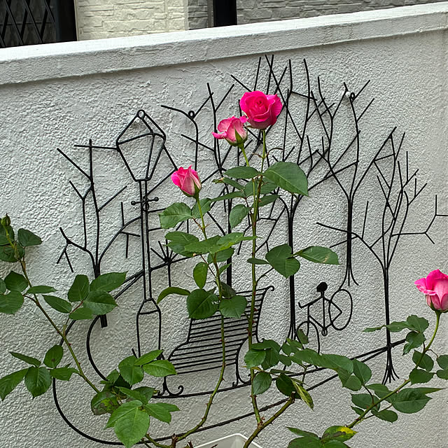 Nさんの部屋