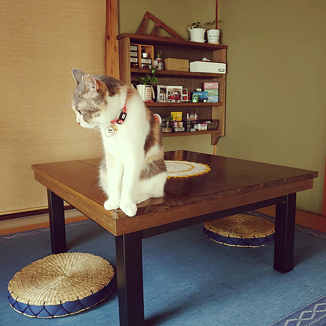 fukuさんの実例写真