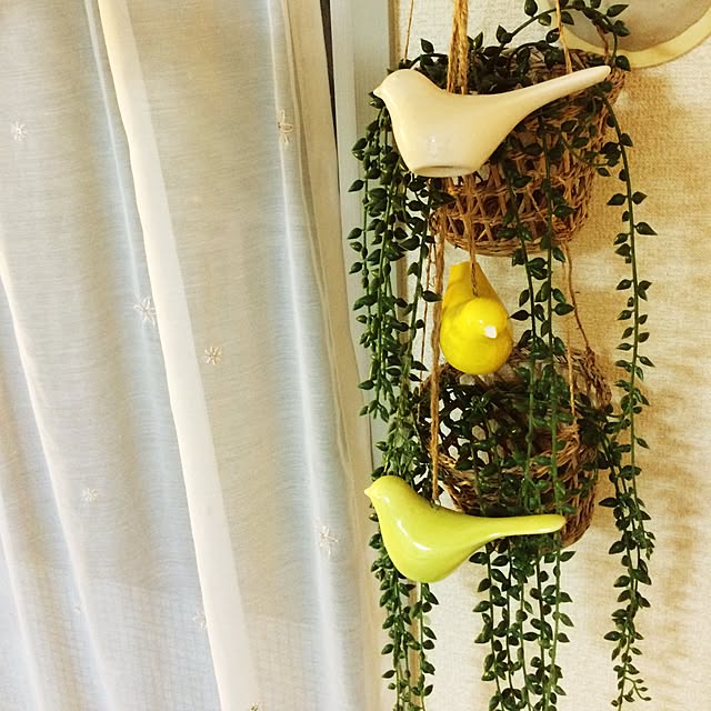 makoto325さんの実例写真
