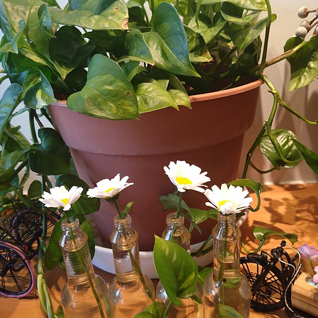 mamekoさんの部屋