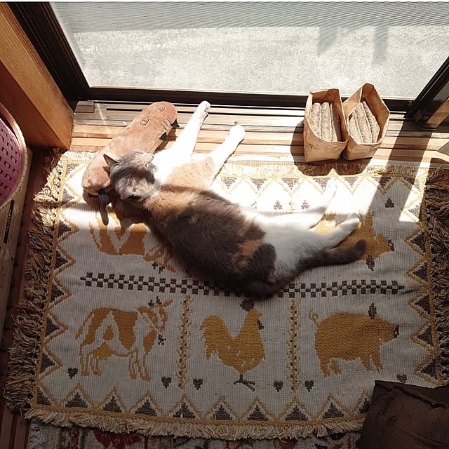 fukuさんの部屋
